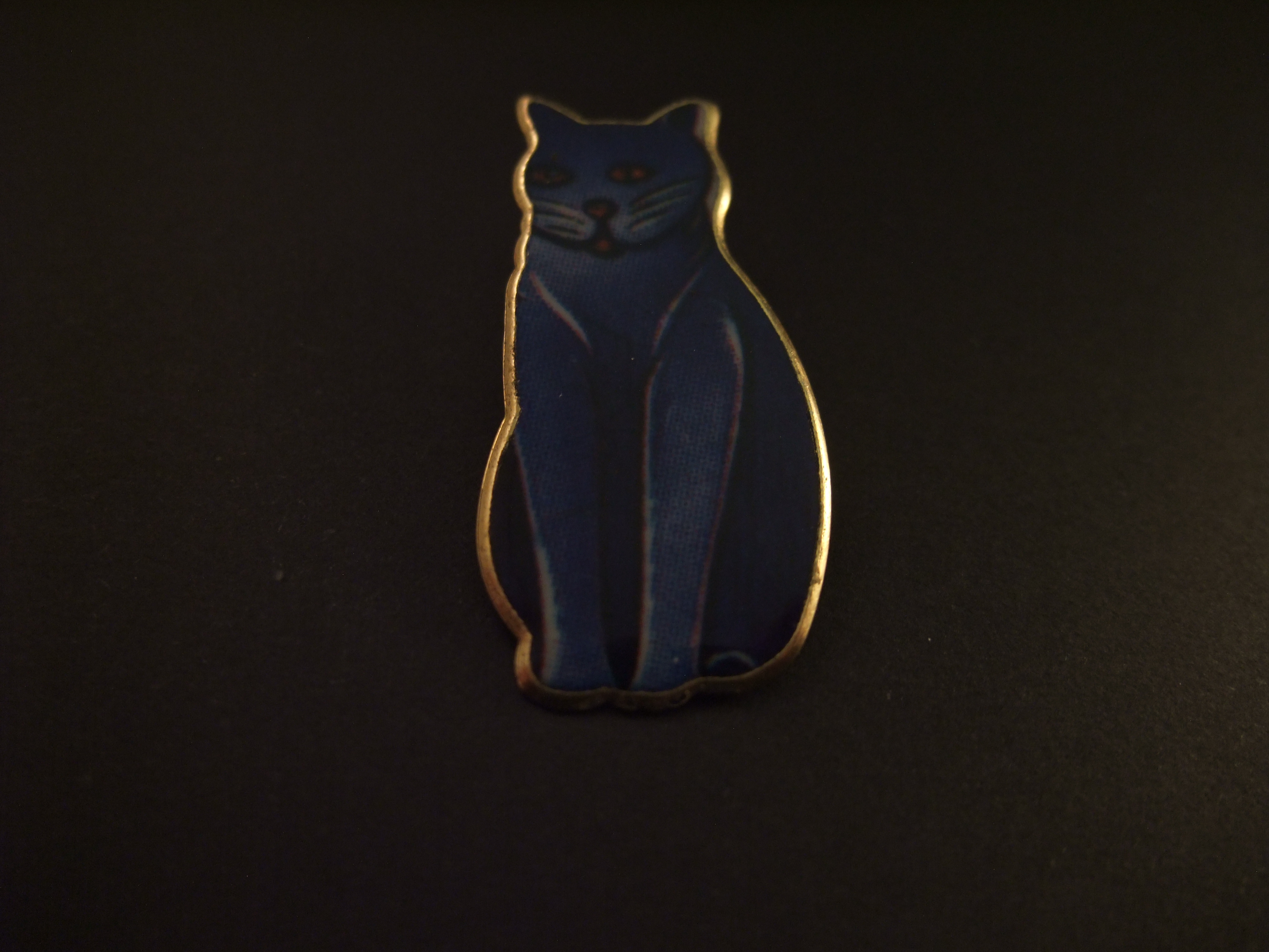 Poes-kat blauw